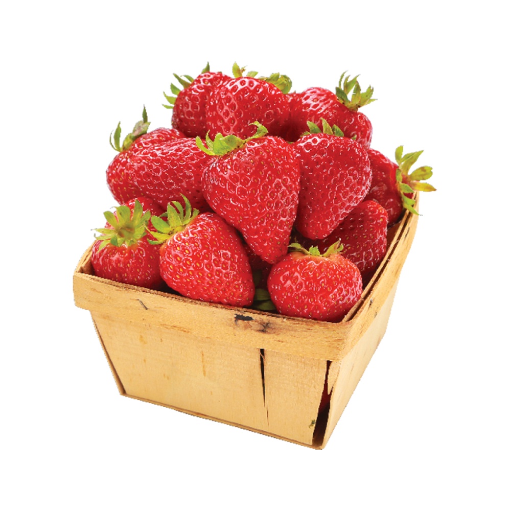 product-8 product-8