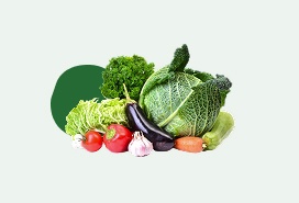 vegetable